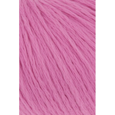Amira Light 085