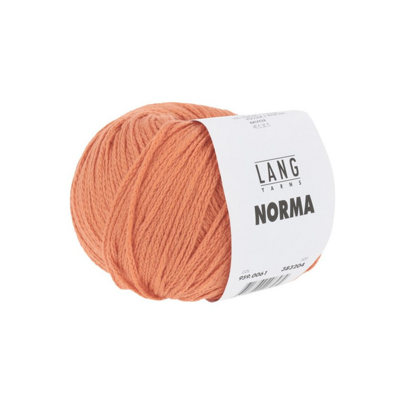 Norma 0061
