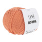 Norma 0061