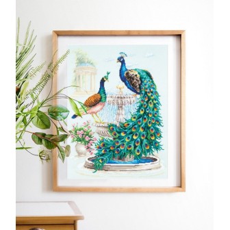 Embroidery kit Peacocks