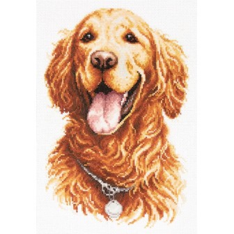 Stickset Golden Retriever