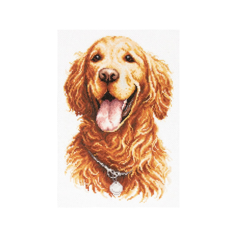 Borduurpakket Golden retriever Borduurpakket Golden retriever