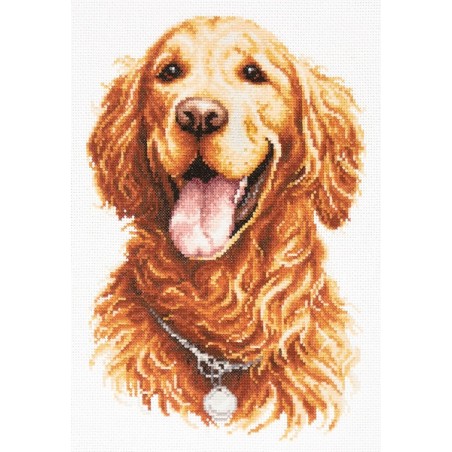 Stickset Golden Retriever