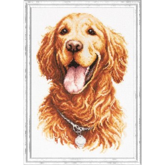Stickset Golden Retriever