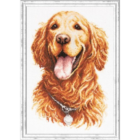 Borduurpakket Golden retriever