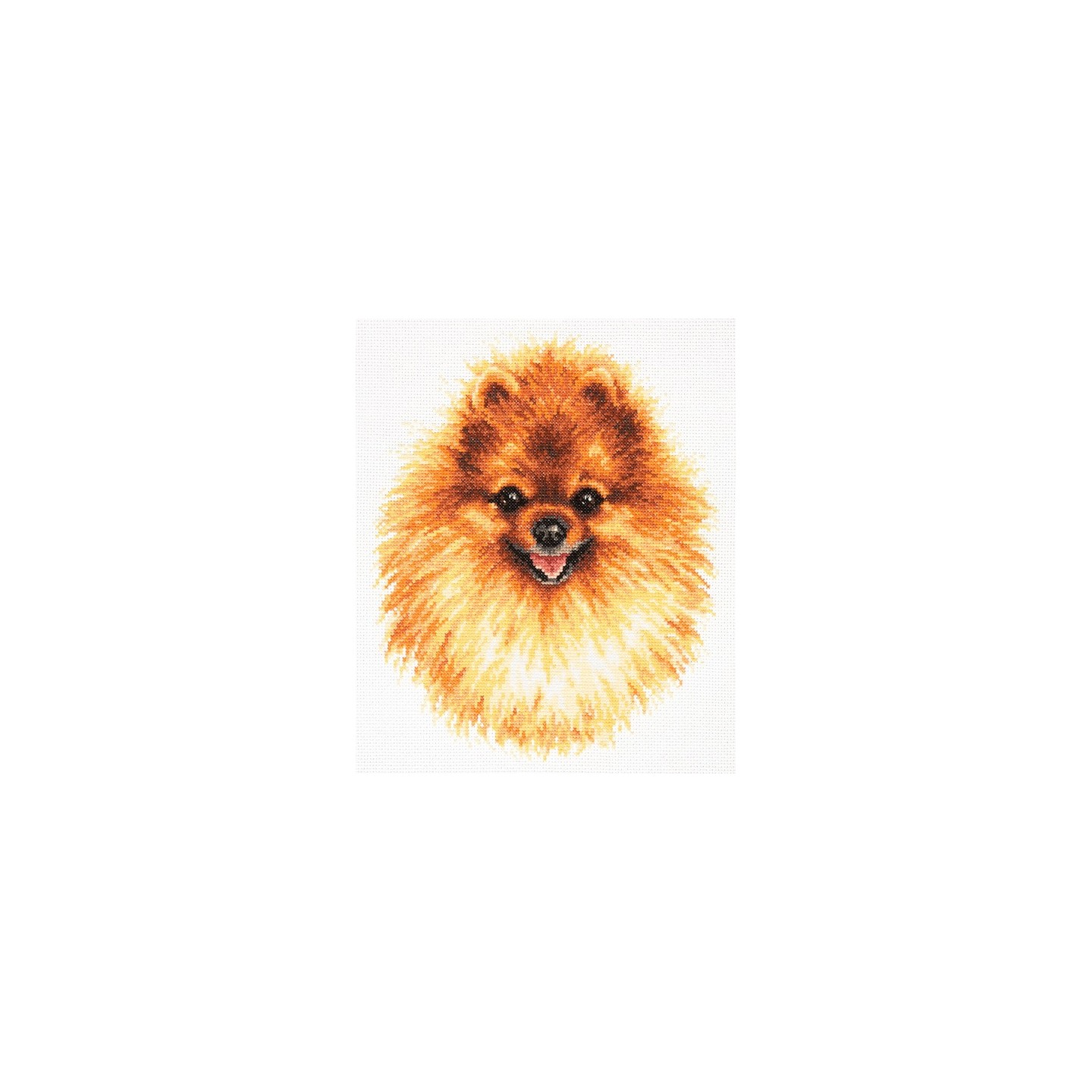 Embroidery kit Pomeranian