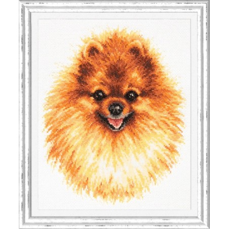 Embroidery kit Pomeranian