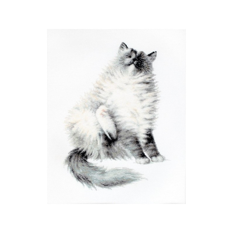 Embroidery kit Micky Embroidery kit Micky