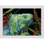 Stickset Leguan Stickset Leguan