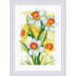 Borduurpakket Lente gloed Narcissen