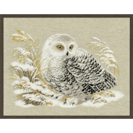 Borduurpakket Witte Uil
