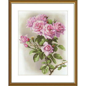 Stickset Rosa Sonate