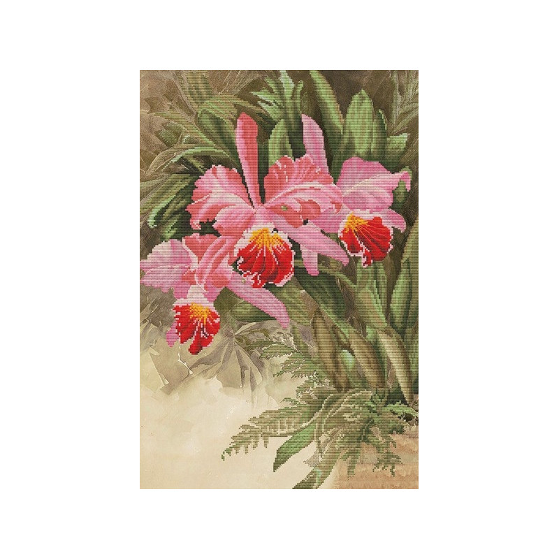 Borduurpakket Tropische orchidee