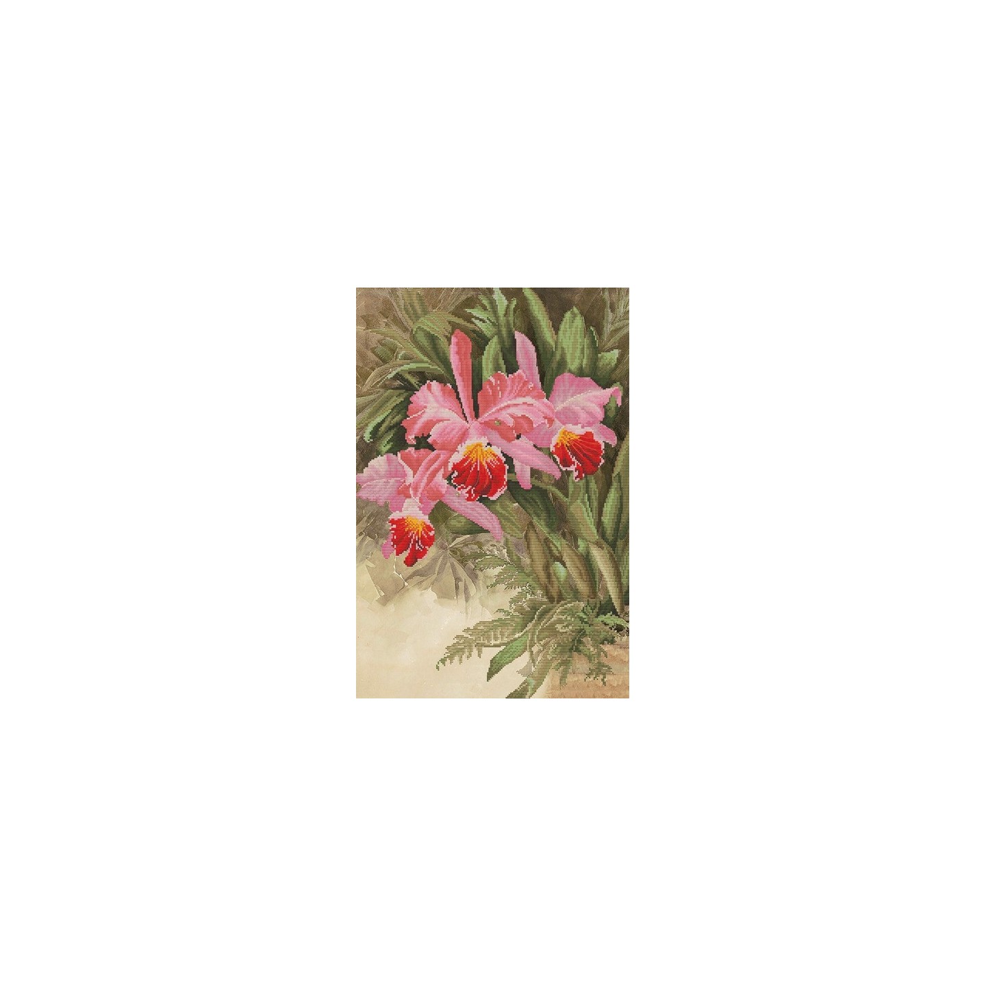 Borduurpakket Tropische orchidee