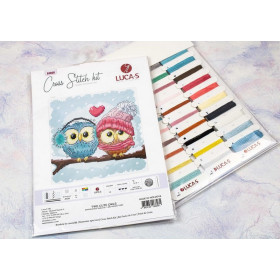Embroidery kit Two Cute Owls