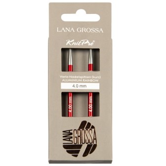 Lana Grossa Lana Grossa Vario Rainbow kort rondbreinaald punten