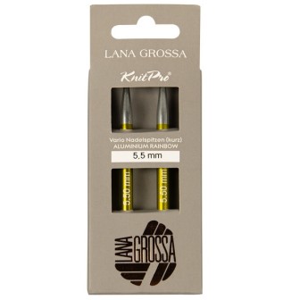 Lana Grossa Vario Rainbow kurz austauschbare Rundstricknadel 5,5 mm