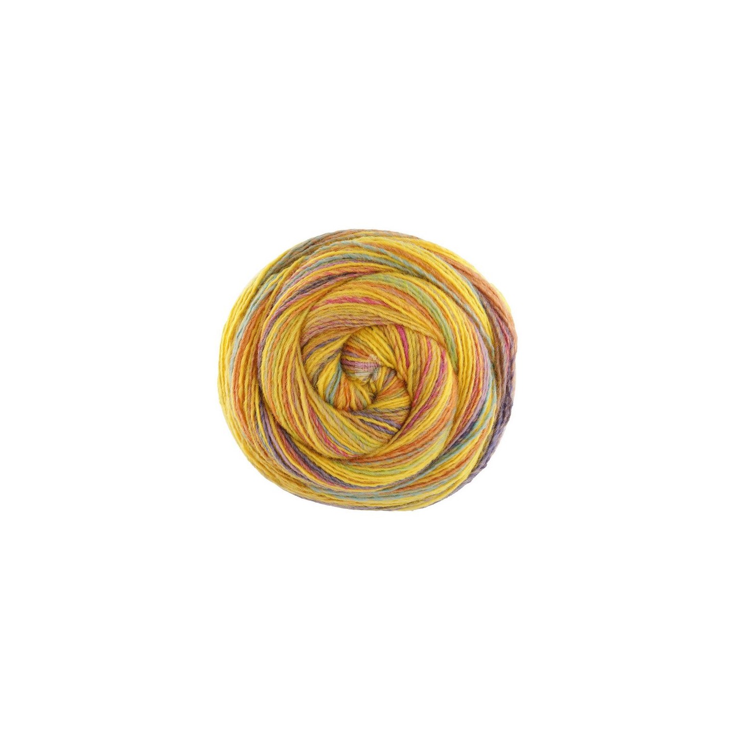 Gomitolo Magico 3026
