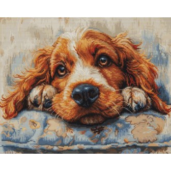 Luca-S Stickset Cocker Spaniel