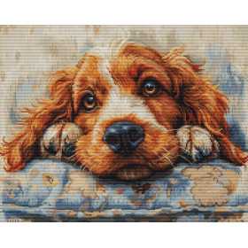 Luca-S Embroidery kit Cocker Spaniel