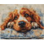 Kit de broderie Cocker Spaniel