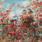 Kit de broderie Vélo avec des roses Kit de broderie Vélo avec des roses