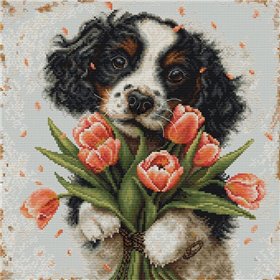 Luca-S Stickset Der Cocker Spaniel-Welpe