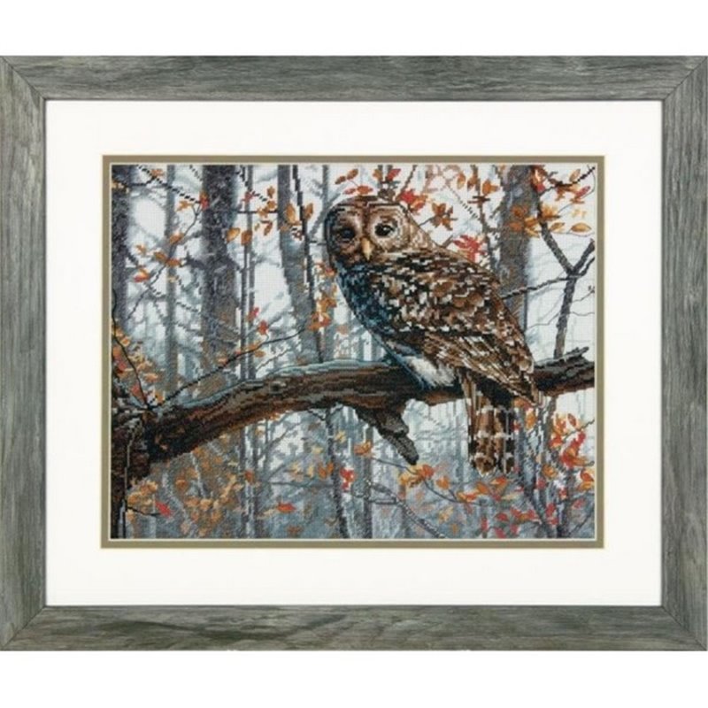 Embroidery kit Wise Owl