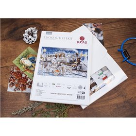Borduurpakket Kerstman express wit
