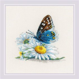 Riolis Kit de broderie Beauté fragile