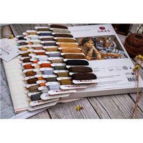 Luca-S Kit de broderie La princesse indienne et le tigre royal