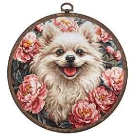 Luca-S Kit de broderie Spitz
