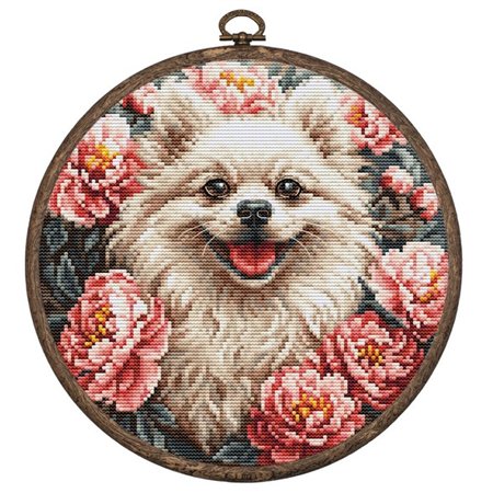 Kit de broderie Spitz