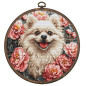 Kit de broderie Spitz Kit de broderie Spitz