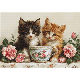 Luca-S Borduurpakket Twee kitens
