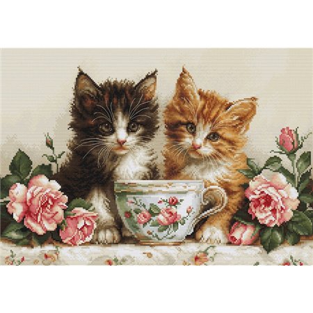 Luca-S Borduurpakket Twee kitens