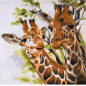 Stickset Giraffen