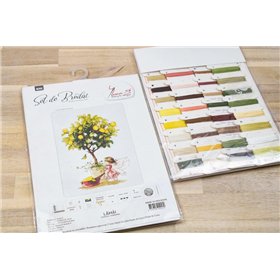 Luca-S Kit de broderie la mandarine