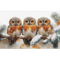 Embroidery kit Owls in The Silence of Winter