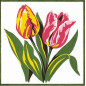 Stickset Tulpen