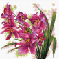 Borduurpakket Prachtige orchideeën