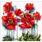 Stickset Schöne Mohnblumen