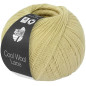 Cool Wool Lace Pastelgroen 65
