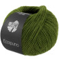 Ecopuno 221 grasgroen