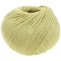 Cool Wool Pastel green 2122