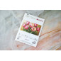 Embroidery kit Graceful Tulips