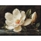 Stickset Der Magnolientau