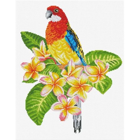 Embroidery kit Frangipanni Rosella