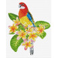 Kit de broderie Frangipanni Rosella