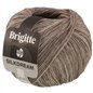 Brigitte Silkdream 04 Grijsbeige
